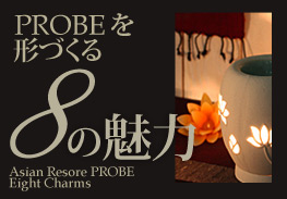 PROBEを形づくる8の魅力