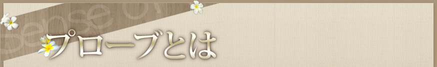 プローブとは