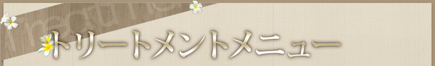 トリートメントメニュー