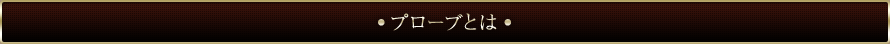 プローブとは